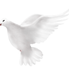 Liberté de mouvements